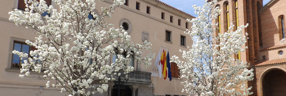 9. Ajuntament de Cornellà de Llobregat
